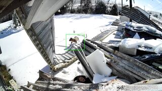 Home Horror Ensues as Carport Collapses on Tennessee Woman