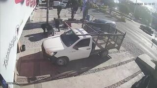 Loose bull in Pedro Escobedo leaves six injured and mobilizes authorities