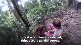 Ape Grabs Young Woman & Refuses To Let Go