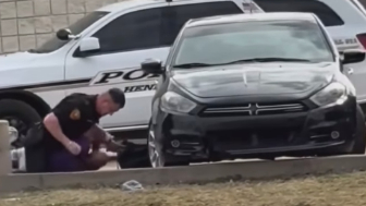 Man Resisting Arrest Repeatedly Punched By Deputy