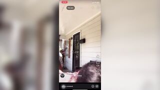 We Live in an Absolute Clown World... 110%