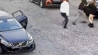 Redhead Fights Back against Violent Robbery