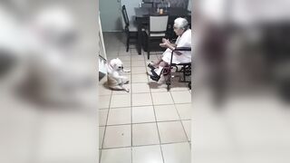 Grandma and the Bulldog (Just Watch)