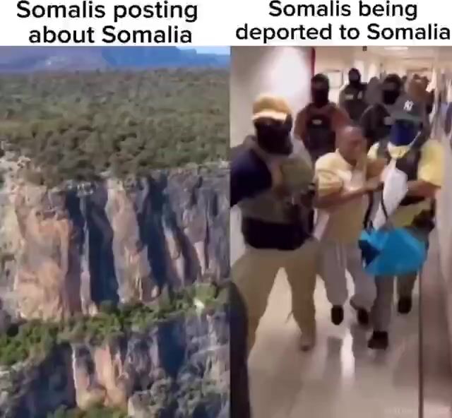 Go back to your fake paradise, Abdool!