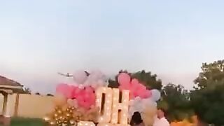 DAMN: Gender Reveal Party Turns Tragic as Hired Pilot Crashes and Dies