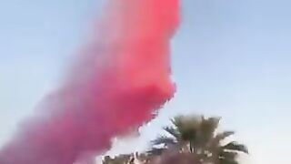 DAMN: Gender Reveal Party Turns Tragic as Hired Pilot Crashes and Dies