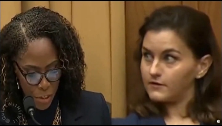 Stacey Plaskett was not only on Epstein's island and texting him during a congression