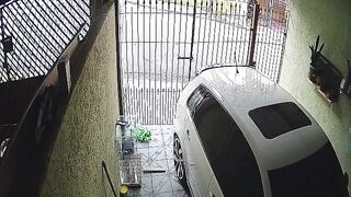 Beware of DOG: Man attempts to steal an item from a property, is bitten by a dog, and goes to complain to the animal's owner; watch.