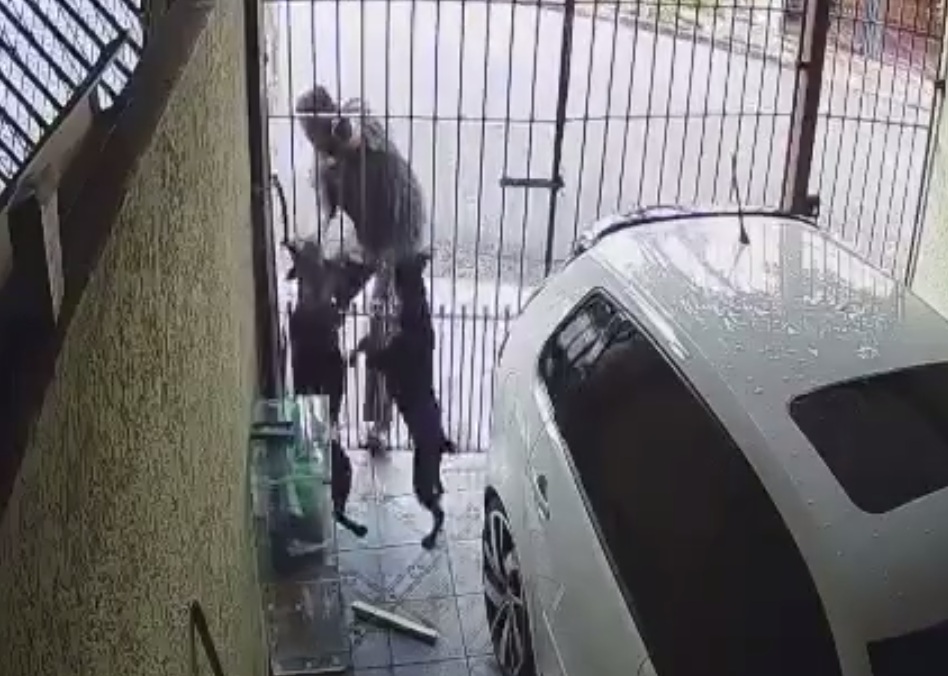 Beware of DOG: Man attempts to steal an item from a property, is bitten by a dog, and goes to complain to the animal's owner; watch.