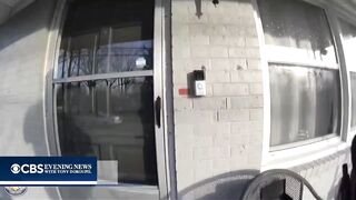 Dog from Heaven appears out of Nowhere