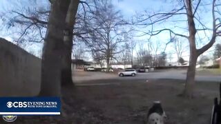 Dog from Heaven appears out of Nowhere