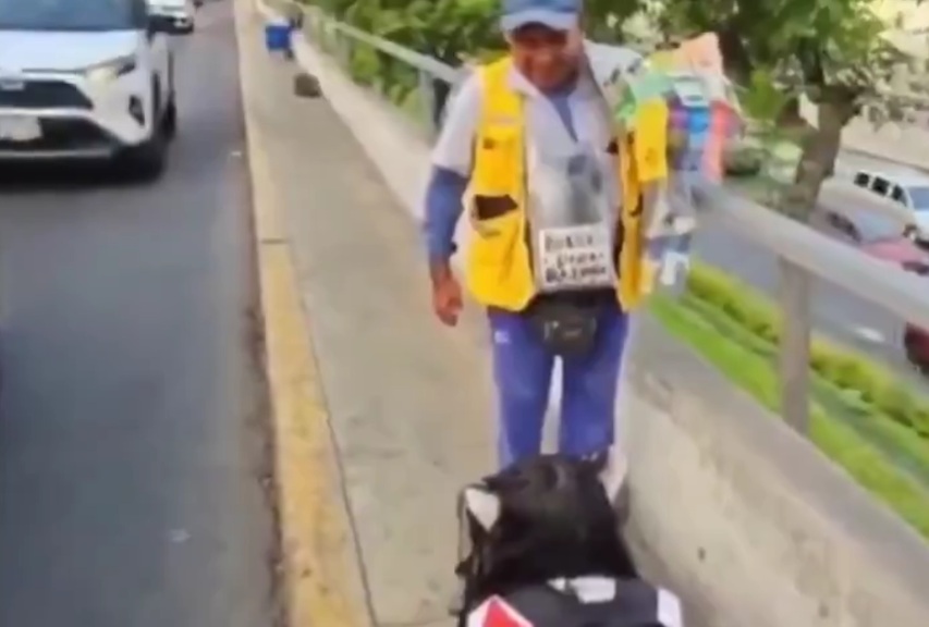 She is REALLY Sorry. Japanese Culture still has Respect