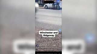 Woman Dragged from Car, Punches and Kicks Troopers During Traffic Stop: PTSD Claimed