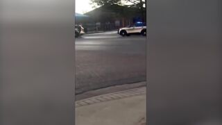 Woman Dragged from Car, Punches and Kicks Troopers During Traffic Stop: PTSD Claimed