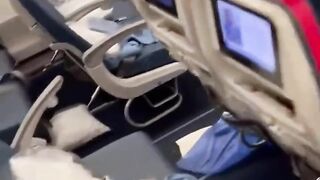 Footage of the cabin that forced a Delta flight to make an emergency landing because of passenger’s diarrhea trail