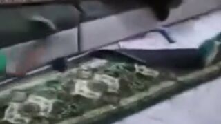 whats on the menu bro?