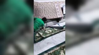 whats on the menu bro?