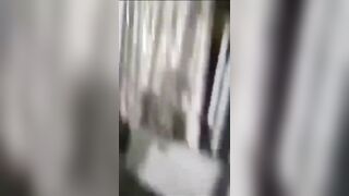 whats on the menu bro?