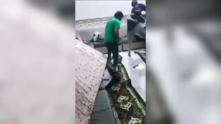 whats on the menu bro?