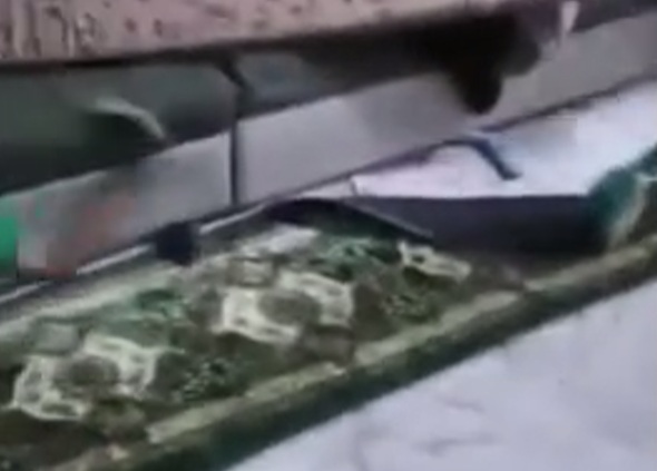 whats on the menu bro?