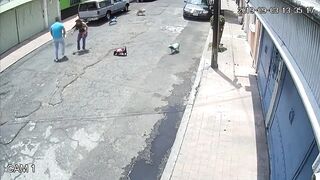 Big Man Attacks Tiny Woman because their Dogs got Too Close