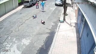 Big Man Attacks Tiny Woman because their Dogs got Too Close