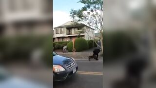 Homeless Man's Pitbull Attacks another Dog and a Person