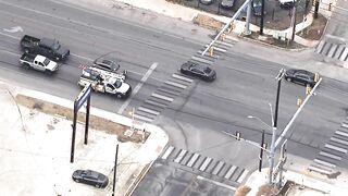 Wild Live police chase ends in crash