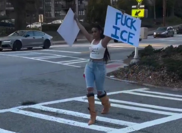 Woman in Flag Outfit Holds Anti-Trump and Anti-ICE Signs in Viral Video