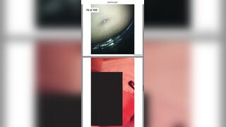 Pam Bondi says there is nothing to see here: Compilation of Epstein clips including a Creepy Teddy Bear, probably a recording device