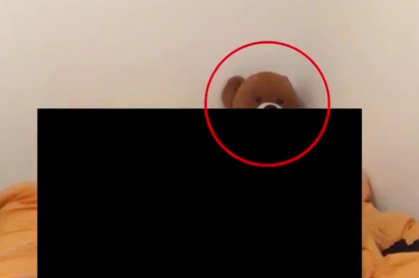 Pam Bondi says there is nothing to see here: Compilation of Epstein clips including a Creepy Teddy Bear, probably a recording device
