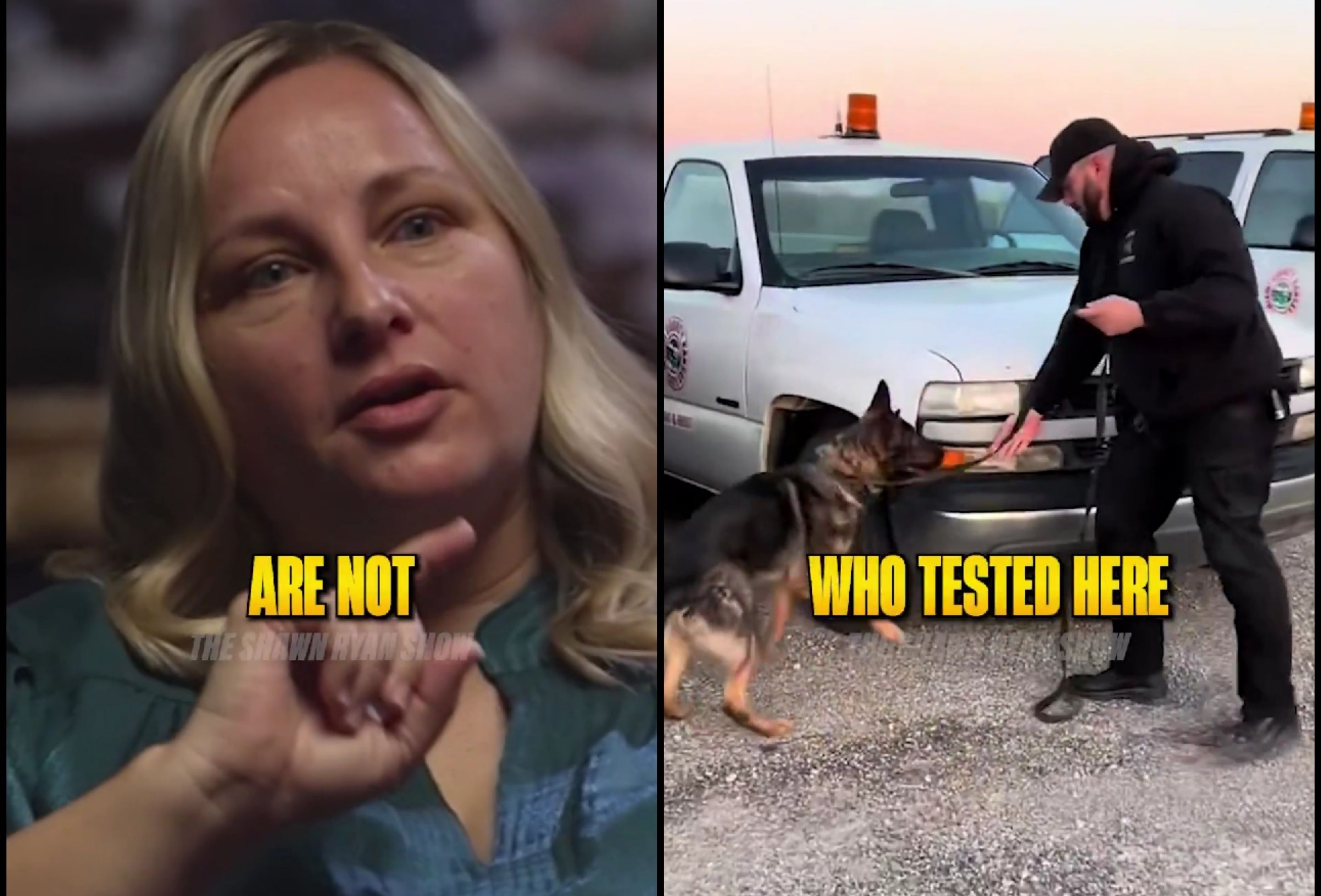 Even Bomb Dogs Can’t Detect This.