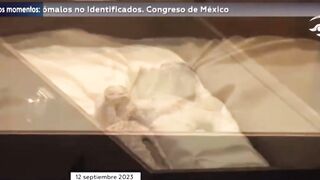 Mexico's Congress Displays 'Alien' Corpses Believed To Be 1,000-Years-Old!