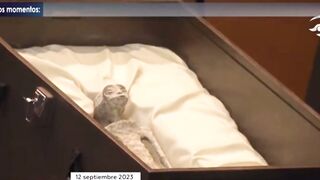 Mexico's Congress Displays 'Alien' Corpses Believed To Be 1,000-Years-Old!