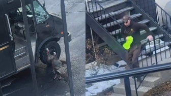 UPS driver chased by wild turkeys: ‘I’m 40-years-old, I can’t deal with this!'