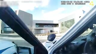 Cop gets gun, car, and entire PD garage swiped from his control