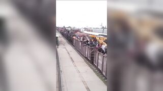 You want Proof? Here is a now Viral Video of Entire Train of Illegals Crossing into US