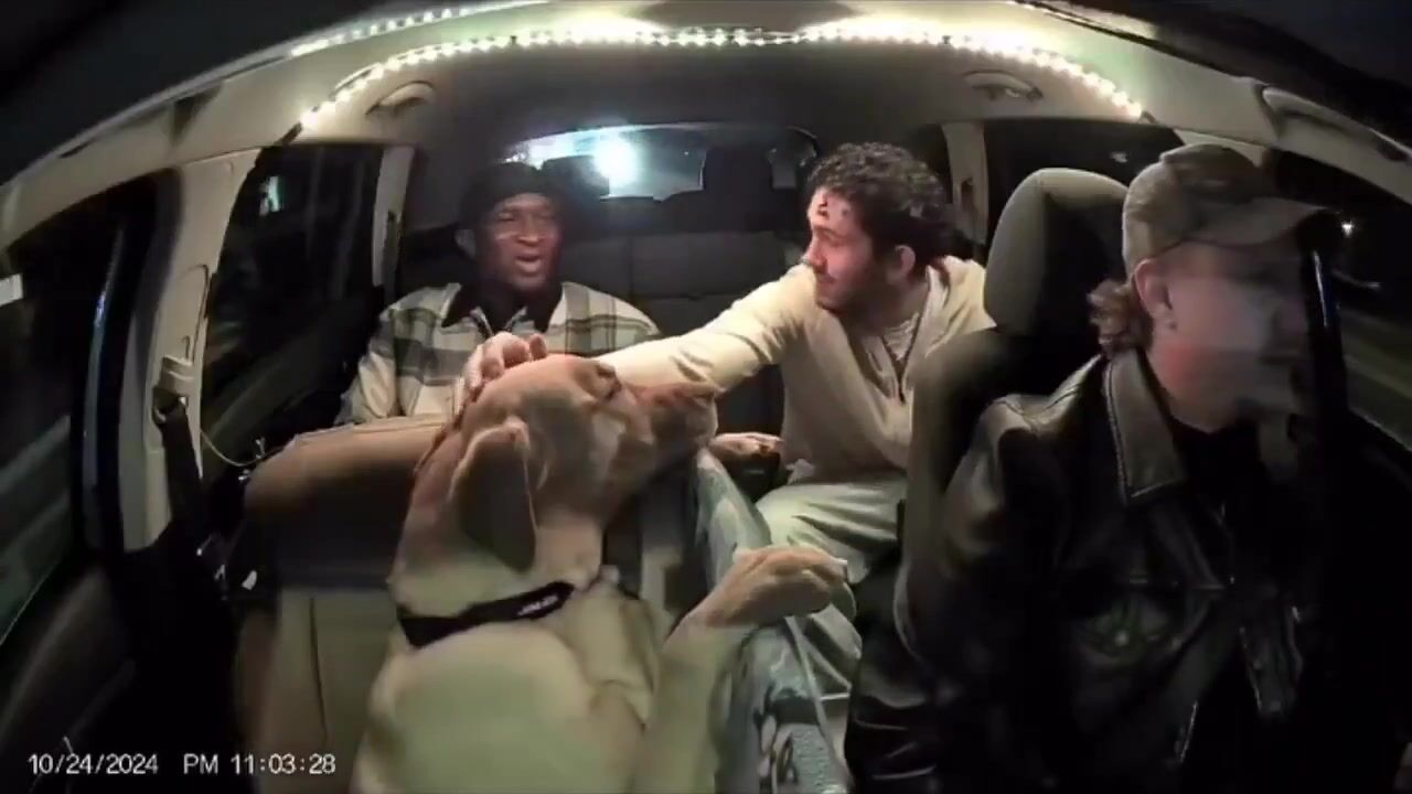 Uber driver brings his dog as a co-pilot. The reactions are wholesome