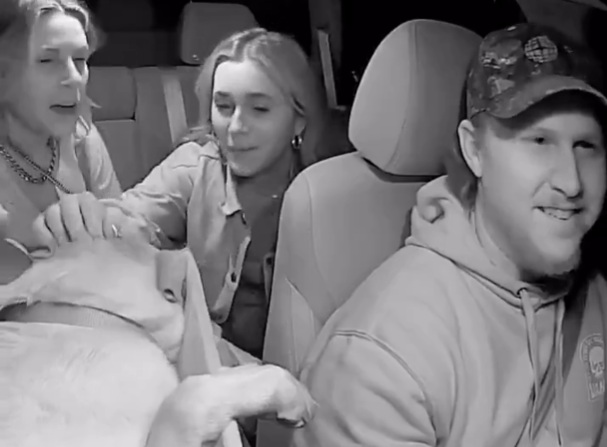 Dogs are from Heaven: This Uber driver brings his dog as a co-pilot. The reactions are wholesome.