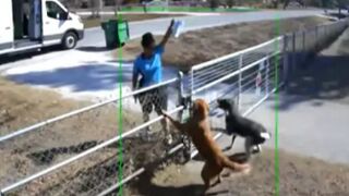 A homeowner criticized an Amazon driver for dropping packages over her fence