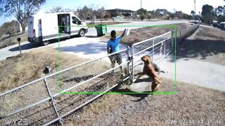 A homeowner criticized an Amazon driver for dropping packages over her fence