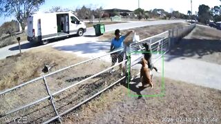 A homeowner criticized an Amazon driver for dropping packages over her fence