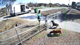 A homeowner criticized an Amazon driver for dropping packages over her fence