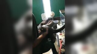 Lady gets her Giant Python Latched onto her Arm .Warning: Blood at End