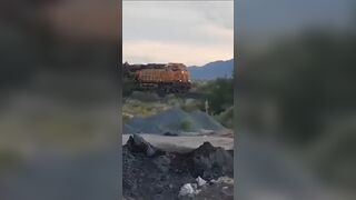 FULL Video of Just How Many Illegals were on that Train that Went Viral