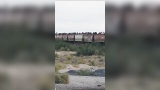 FULL Video of Just How Many Illegals were on that Train that Went Viral