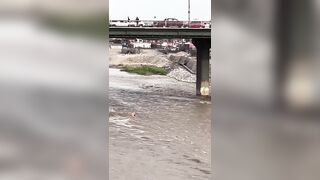 Hero Man dies while Rescuing a Dog