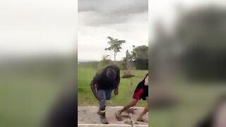 Man with Machete threatens the WRONG Kid (Wait for it, it's worth it)