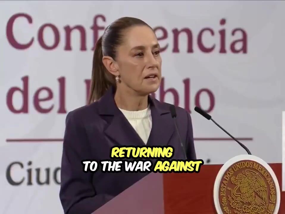 The Mexican President said she didn't want to use force against the cartels because it would violate their human rights