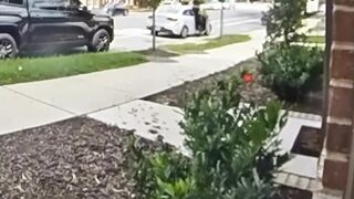 Porch Pirate and Accomplice Get some Instant Justice after Stealing Package